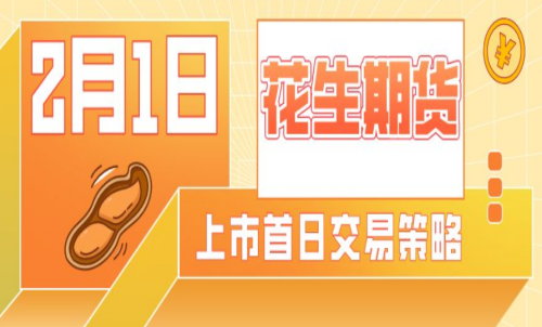 花生期貨的手續費是多少？