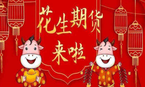 花生期貨的手續費是多少？花生適合