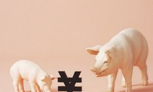 一手生豬期貨交易成本要多少錢？保