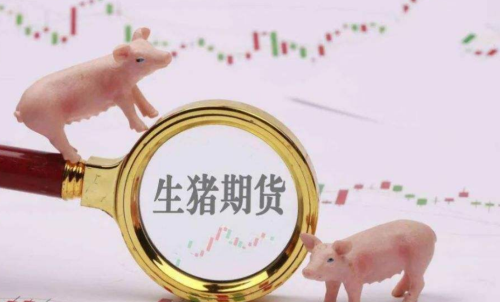 生豬期貨未來走勢將會如何？生豬期