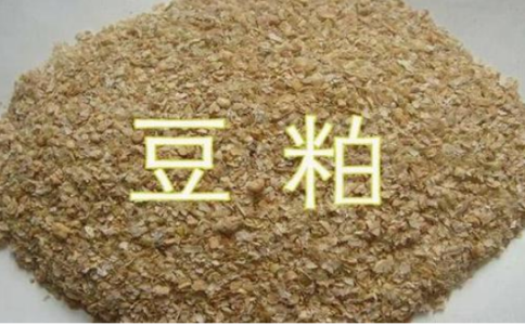 期貨豆粕和菜粕的關聯性，菜粕豆粕